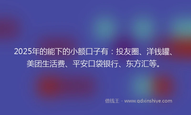2025年的能下的小额口子有：投友圈、洋钱罐、美团生活费、平安口袋银行、东方汇等。