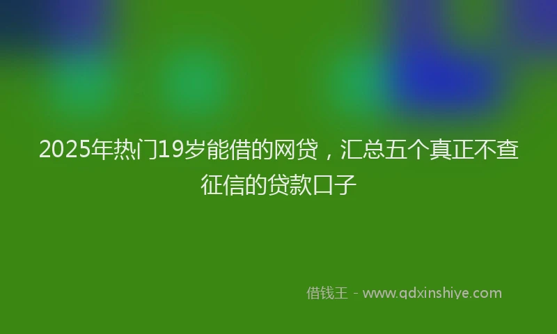 2025年热门19岁能借的网贷，汇总五个真正不查征信的贷款口子