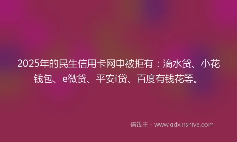 2025年的民生信用卡网申被拒有：滴水贷、小花钱包、e微贷、平安i贷、百度有钱花等。