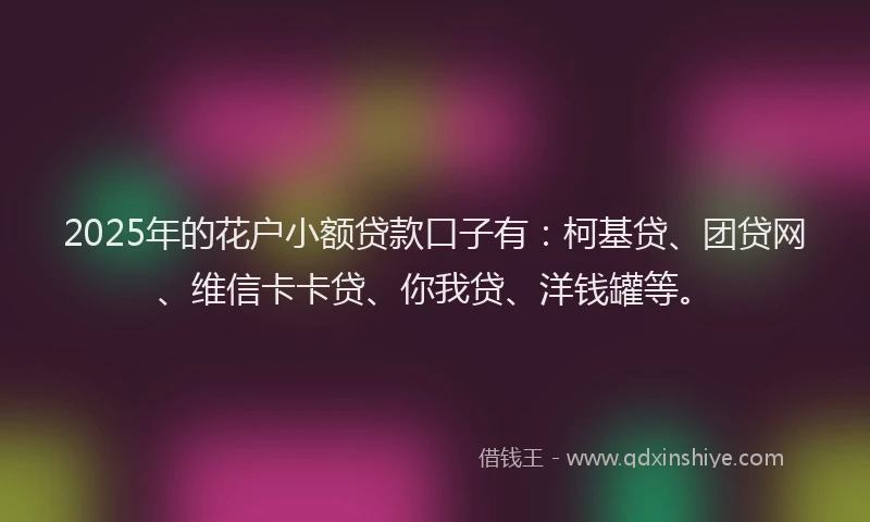 2025年的花户小额贷款口子有：柯基贷、团贷网、维信卡卡贷、你我贷、洋钱罐等。