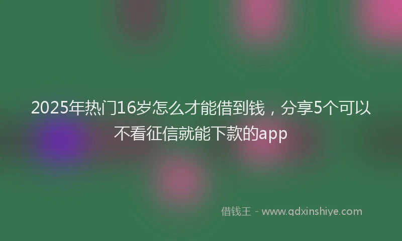 2025年热门16岁怎么才能借到钱，分享5个可以不看征信就能下款的app