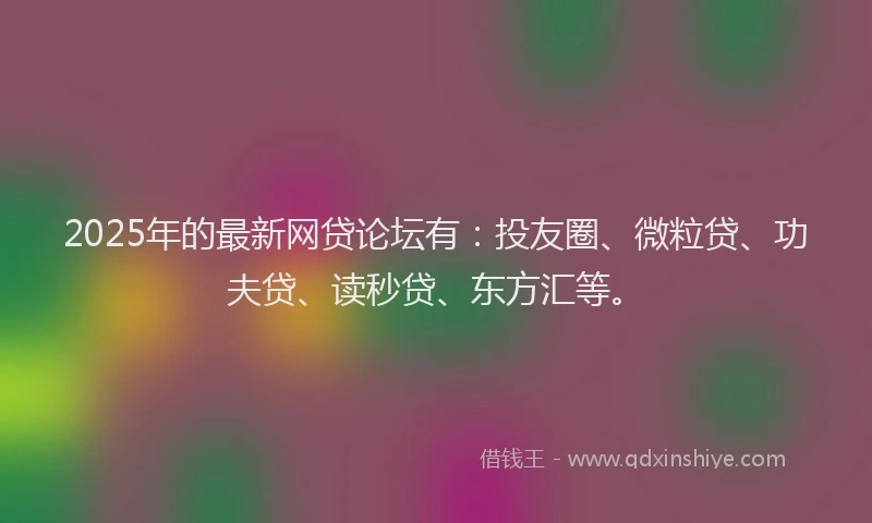 2025年的最新网贷论坛有：投友圈、微粒贷、功夫贷、读秒贷、东方汇等。