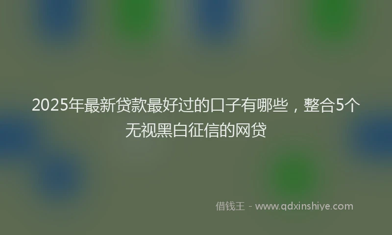 2025年最新贷款最好过的口子有哪些，整合5个无视黑白征信的网贷