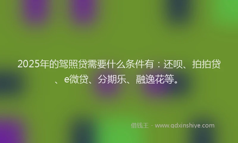 2025年的驾照贷需要什么条件有：还呗、拍拍贷、e微贷、分期乐、融逸花等。