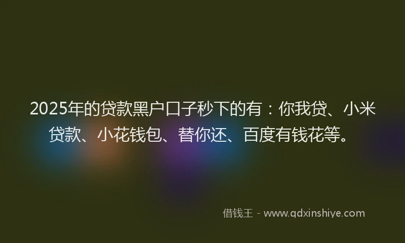 2025年的贷款黑户口子秒下的有：你我贷、小米贷款、小花钱包、替你还、百度有钱花等。
