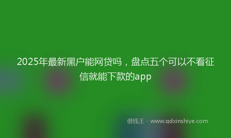 2025年最新黑户能网贷吗，盘点五个可以不看征信就能下款的app