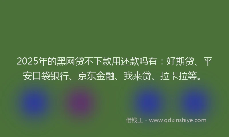 2025年的黑网贷不下款用还款吗有：好期贷、平安口袋银行、京东金融、我来贷、拉卡拉等。