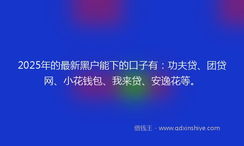 2025年的最新黑户能下的口子有：功夫贷、团贷网、小花钱包、我来贷、安逸花等。