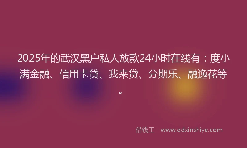 2025年的武汉黑户私人放款24小时在线有：度小满金融、信用卡贷、我来贷、分期乐、融逸花等。