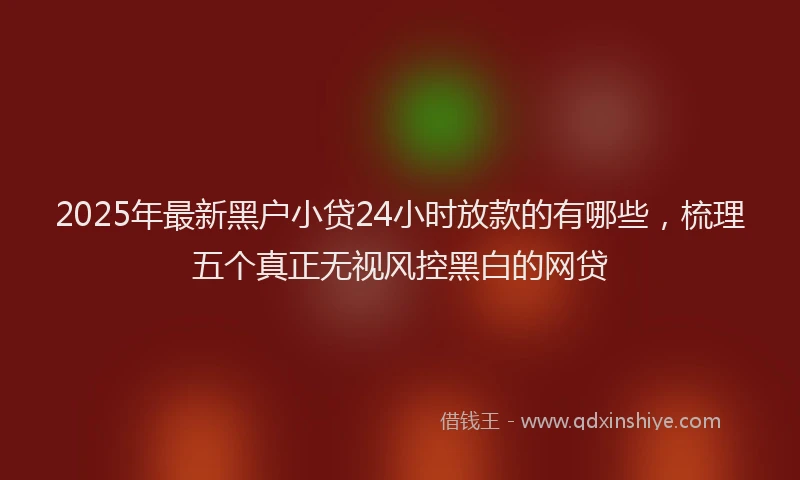 2025年最新黑户小贷24小时放款的有哪些，梳理五个真正无视风控黑白的网贷