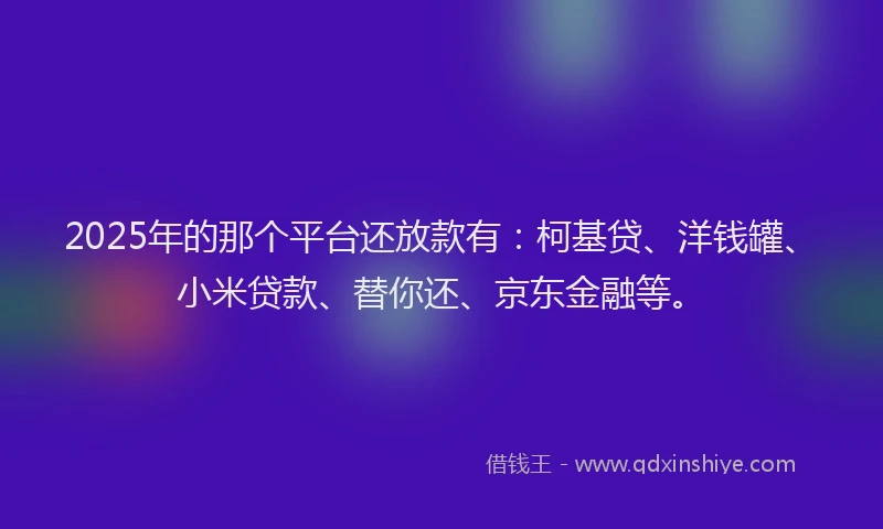 2025年的那个平台还放款有：柯基贷、洋钱罐、小米贷款、替你还、京东金融等。