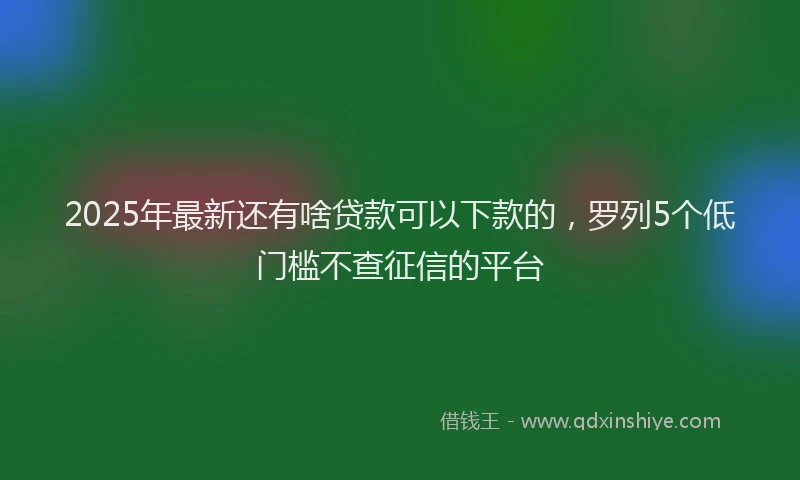 2025年最新还有啥贷款可以下款的，罗列5个低门槛不查征信的平台