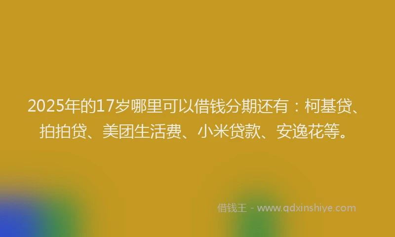 2025年的17岁哪里可以借钱分期还有：柯基贷、拍拍贷、美团生活费、小米贷款、安逸花等。