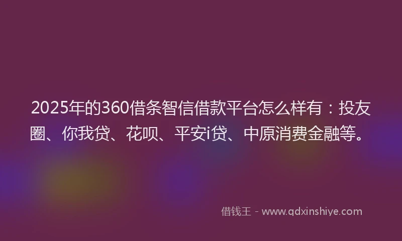 2025年的360借条智信借款平台怎么样有：投友圈、你我贷、花呗、平安i贷、中原消费金融等。
