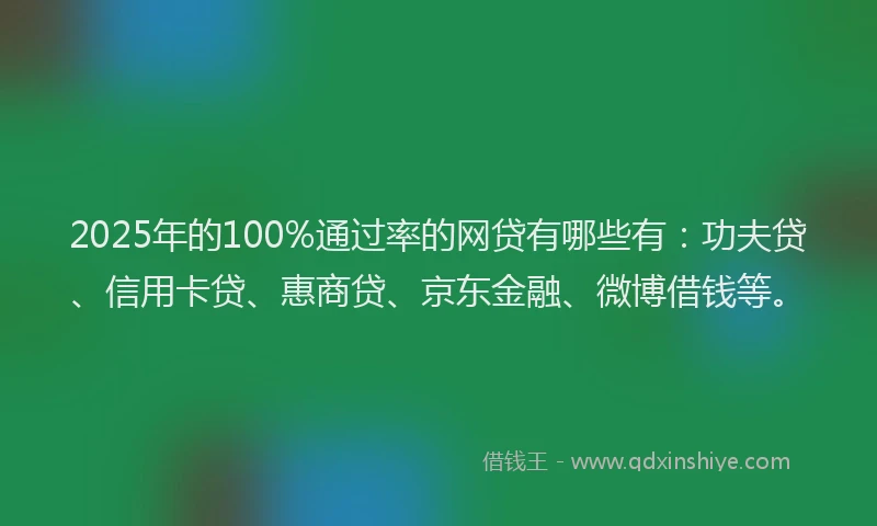 2025年的100%通过率的网贷有哪些有：功夫贷、信用卡贷、惠商贷、京东金融、微博借钱等。