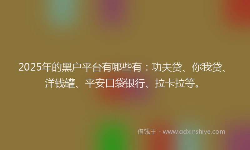 2025年的黑户平台有哪些有：功夫贷、你我贷、洋钱罐、平安口袋银行、拉卡拉等。