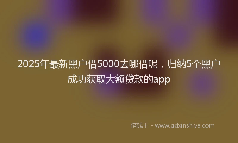 2025年最新黑户借5000去哪借呢，归纳5个黑户成功获取大额贷款的app