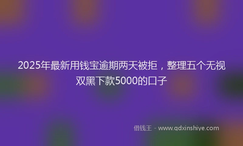 2025年最新用钱宝逾期两天被拒，整理五个无视双黑下款5000的口子