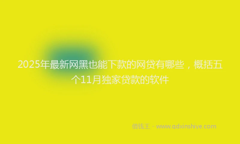 2025年最新网黑也能下款的网贷有哪些，概括五个11月独家贷款的软件