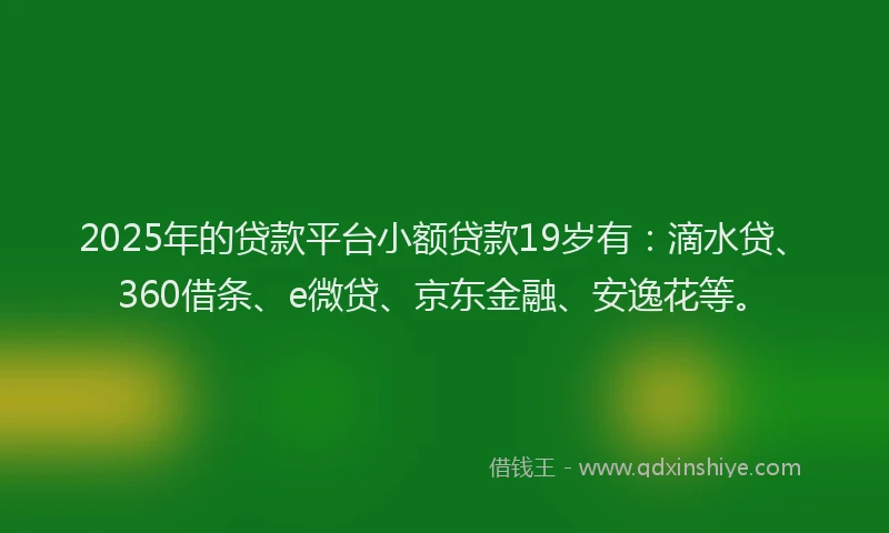 2025年的贷款平台小额贷款19岁有：滴水贷、360借条、e微贷、京东金融、安逸花等。