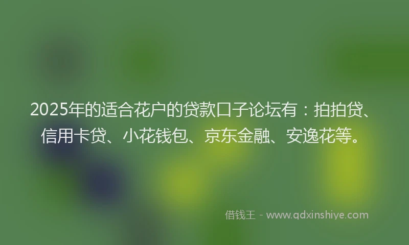2025年的适合花户的贷款口子论坛有：拍拍贷、信用卡贷、小花钱包、京东金融、安逸花等。