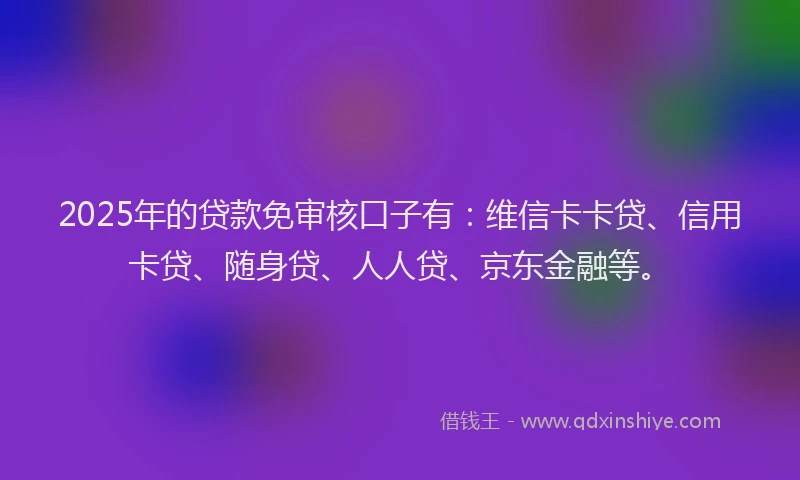 2025年的贷款免审核口子有：维信卡卡贷、信用卡贷、随身贷、人人贷、京东金融等。