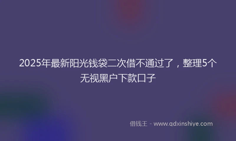 2025年最新阳光钱袋二次借不通过了，整理5个无视黑户下款口子