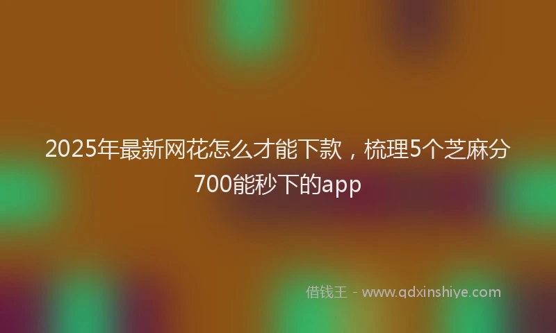 2025年最新网花怎么才能下款，梳理5个芝麻分700能秒下的app