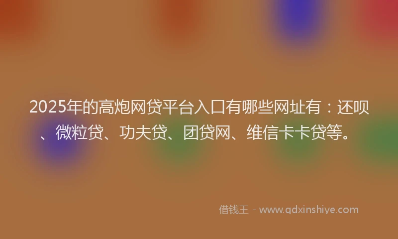 2025年的高炮网贷平台入口有哪些网址有：还呗、微粒贷、功夫贷、团贷网、维信卡卡贷等。