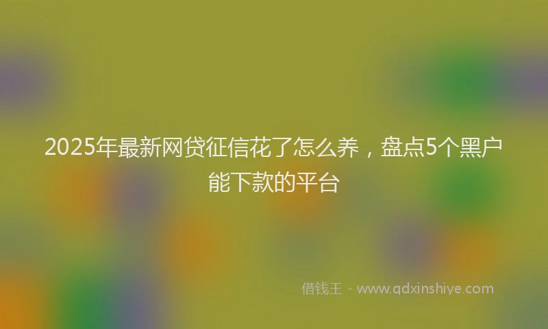 2025年最新网贷征信花了怎么养，盘点5个黑户能下款的平台
