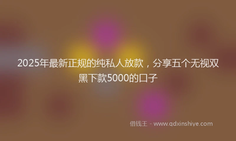 2025年最新正规的纯私人放款，分享五个无视双黑下款5000的口子