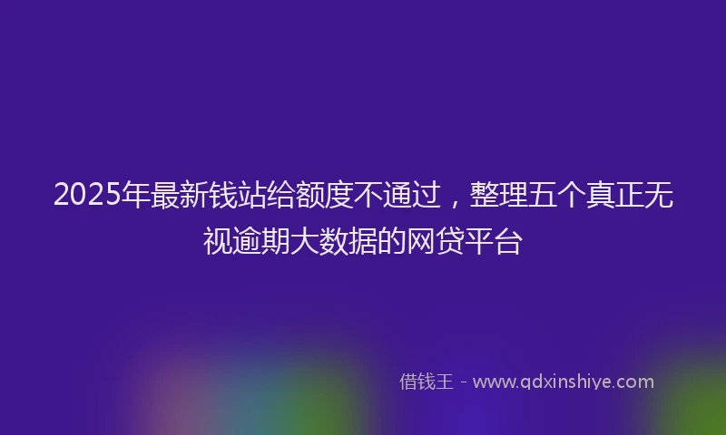 2025年最新钱站给额度不通过，整理五个真正无视逾期大数据的网贷平台