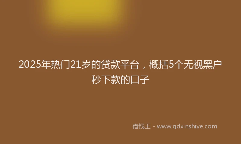 2025年热门21岁的贷款平台，概括5个无视黑户秒下款的口子
