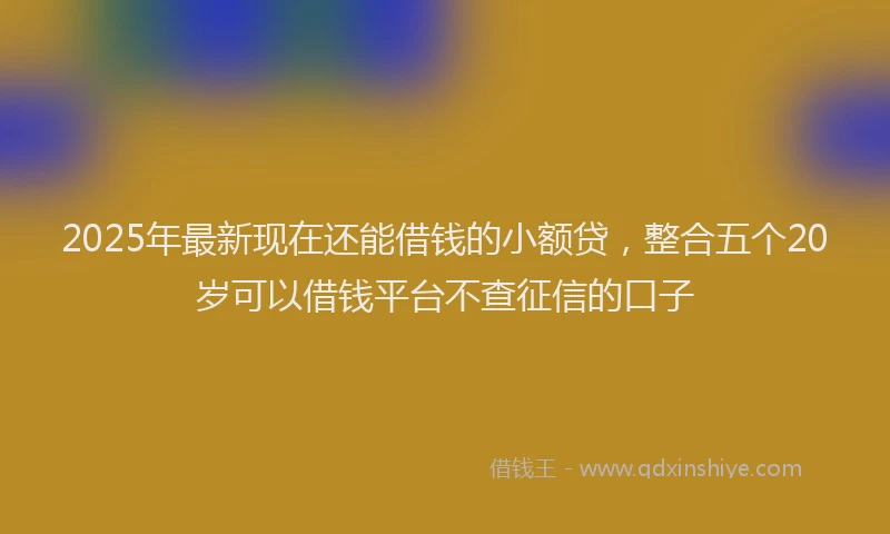 2025年最新现在还能借钱的小额贷，整合五个20岁可以借钱平台不查征信的口子