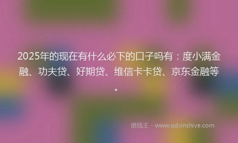 2025年的现在有什么必下的口子吗有：度小满金融、功夫贷、好期贷、维信卡卡贷、京东金融等。