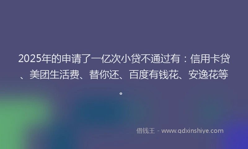 2025年的申请了一亿次小贷不通过有：信用卡贷、美团生活费、替你还、百度有钱花、安逸花等。