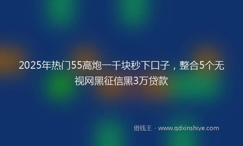 2025年热门55高炮一千块秒下口子，整合5个无视网黑征信黑3万贷款