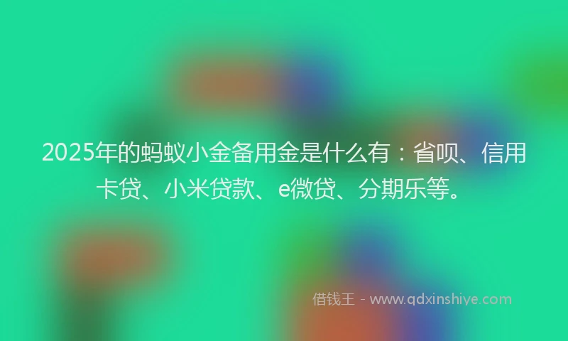 2025年的蚂蚁小金备用金是什么有：省呗、信用卡贷、小米贷款、e微贷、分期乐等。