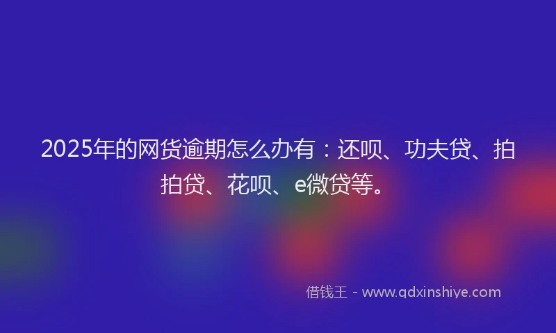 2025年的网货逾期怎么办有：还呗、功夫贷、拍拍贷、花呗、e微贷等。