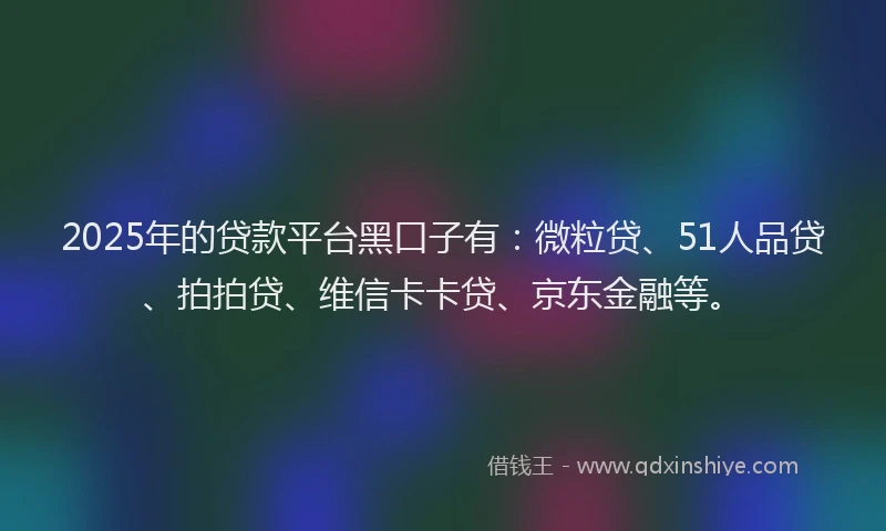2025年的贷款平台黑口子有：微粒贷、51人品贷、拍拍贷、维信卡卡贷、京东金融等。