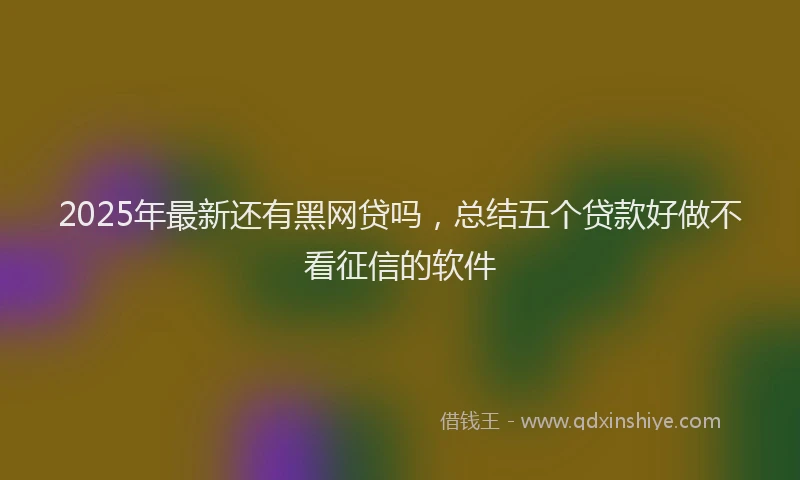 2025年最新还有黑网贷吗，总结五个贷款好做不看征信的软件