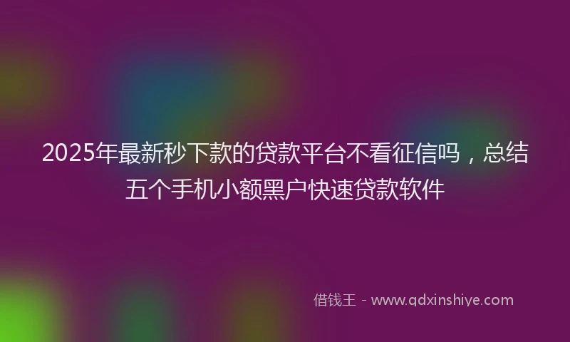 2025年最新秒下款的贷款平台不看征信吗，总结五个手机小额黑户快速贷款软件