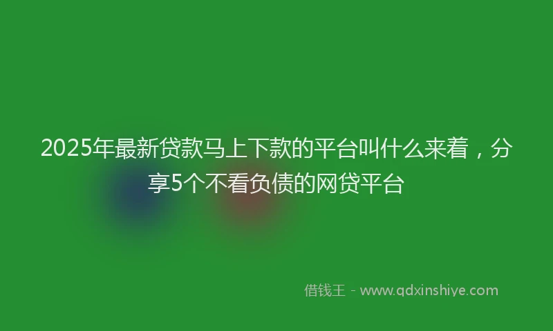 2025年最新贷款马上下款的平台叫什么来着，分享5个不看负债的网贷平台
