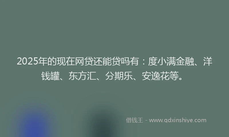 2025年的现在网贷还能贷吗有：度小满金融、洋钱罐、东方汇、分期乐、安逸花等。