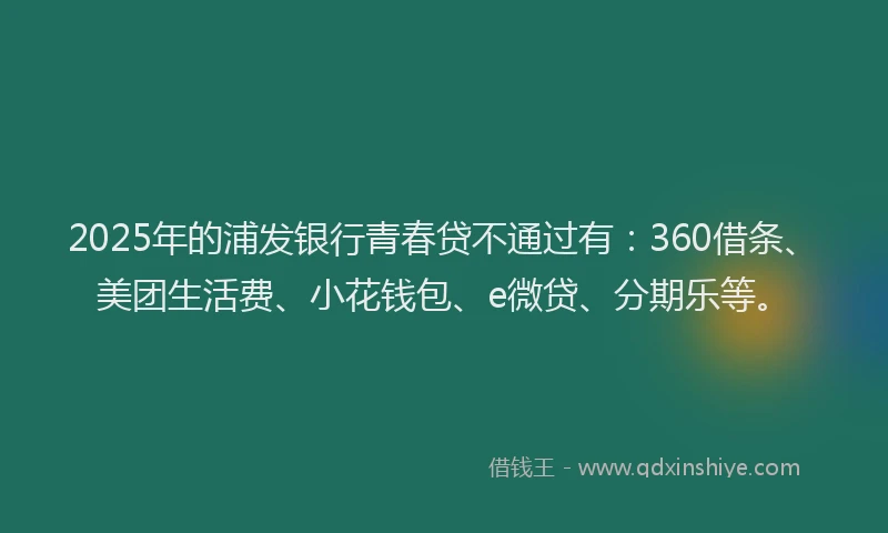 2025年的浦发银行青春贷不通过有：360借条、美团生活费、小花钱包、e微贷、分期乐等。
