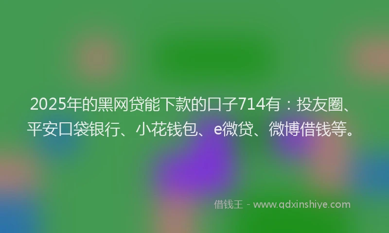 2025年的黑网贷能下款的口子714有：投友圈、平安口袋银行、小花钱包、e微贷、微博借钱等。