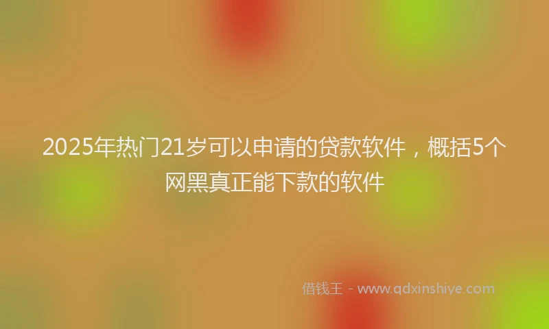 2025年热门21岁可以申请的贷款软件，概括5个网黑真正能下款的软件