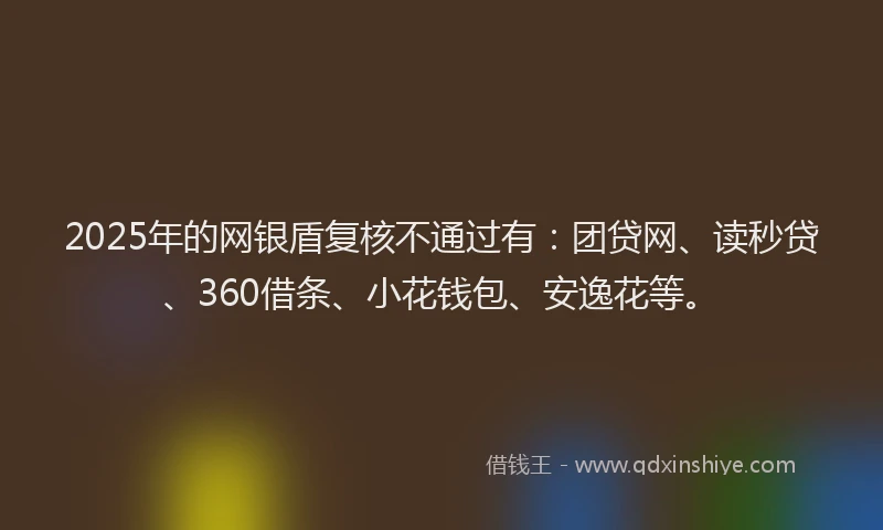 2025年的网银盾复核不通过有：团贷网、读秒贷、360借条、小花钱包、安逸花等。