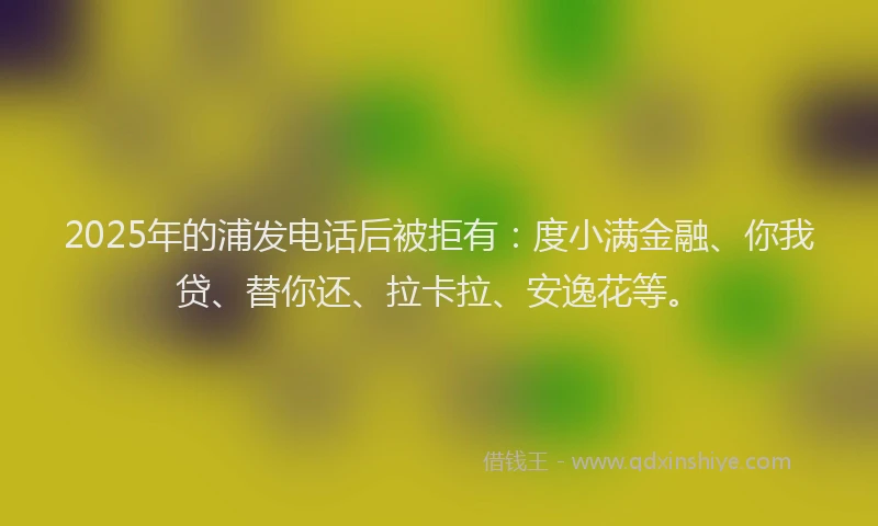 2025年的浦发电话后被拒有：度小满金融、你我贷、替你还、拉卡拉、安逸花等。