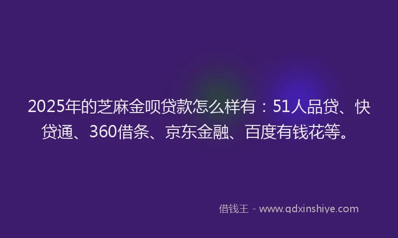 2025年的芝麻金呗贷款怎么样有：51人品贷、快贷通、360借条、京东金融、百度有钱花等。